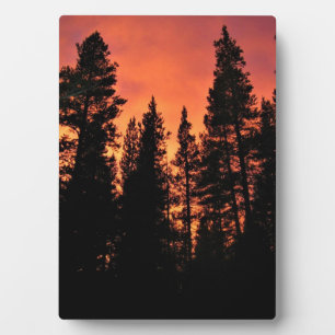 Sonnenuntergang in Tuolumne Meadows, Yosemite, CA Fotoplatte