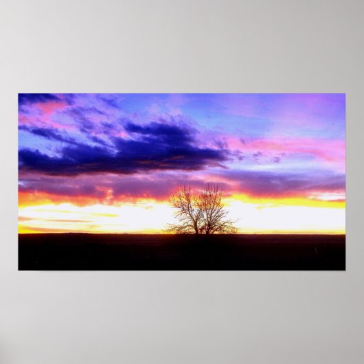Sonnenuntergang jenseits des Baumes_ Poster (Vorne)