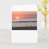 Sonnenuntergang, Karte (Gelbe Blume)