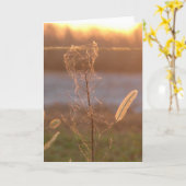 Sonnenuntergang Karte (Gelbe Blume)