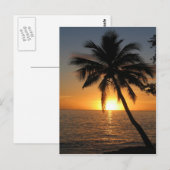Sonnenuntergang Kokospalme Fidschi Frieden und Fre Postkarte (Vorne/Hinten)
