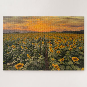 Sonnenuntergang Landschaft Natur Sonnenblumen Feld Puzzle