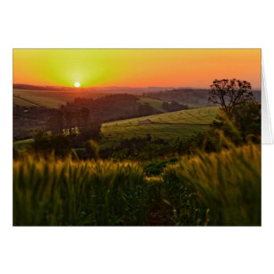 Sonnenuntergang-Landwirtschafts-Weizen