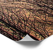 Sonnenuntergang mit Bare Trees Poster (Ecke)
