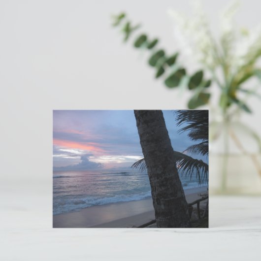 Sonnenuntergang mit Baum in Sri Lanka Postkarte (Stehend Vorderseite)