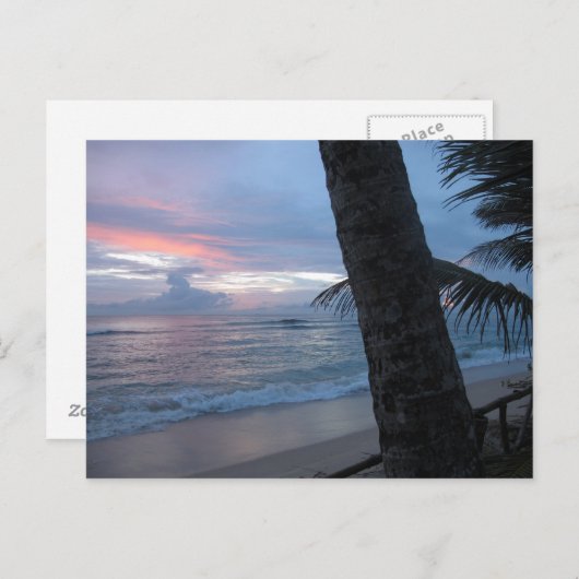 Sonnenuntergang mit Baum in Sri Lanka Postkarte (Vorne/Hinten)