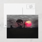 Sonnenuntergang mit Baum Postkarte (Vorne/Hinten)