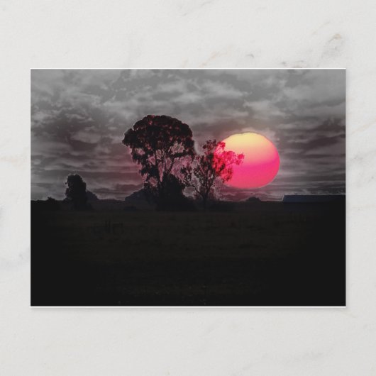 Sonnenuntergang mit Baum Postkarte (Vorderseite)
