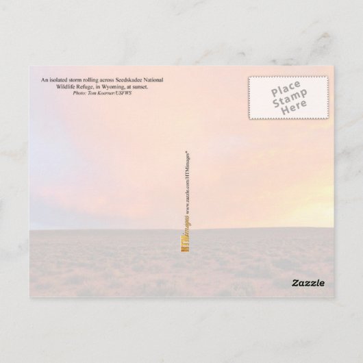 Sonnenuntergang mit Blitz über der Wüste Postkarte (Rückseite)