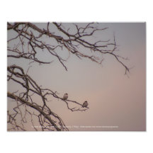 Sonnenuntergang mit den Shrikes