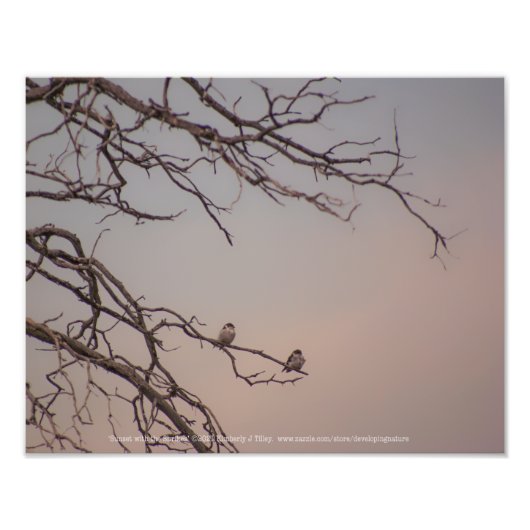 Sonnenuntergang mit den Shrikes Fotodruck (Vorne)