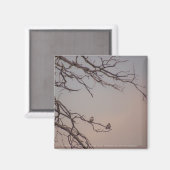 Sonnenuntergang mit den Shrikes Magnet (Vorderseite/Rückseite)