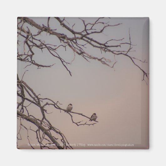 Sonnenuntergang mit den Shrikes Magnet (Vorne)