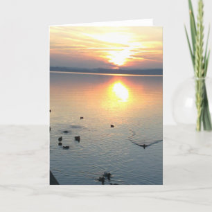 Sonnenuntergang mit Enten im See, Grußkarte Karte