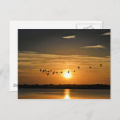 Sonnenuntergang mit Herons, die über den Himmel fl Postkarte (Vorne/Hinten)