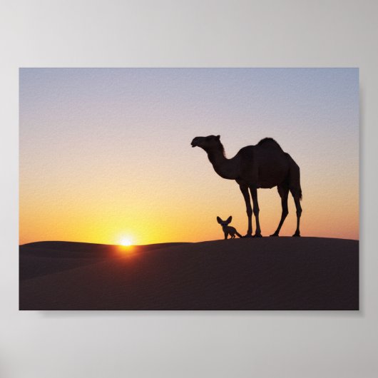 Sonnenuntergang mit Kamel und Fennek Poster (Vorne)
