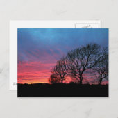 Sonnenuntergang mit rotem Himmel Postkarte (Vorne/Hinten)