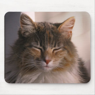 Sonnenuntergang Mousepad