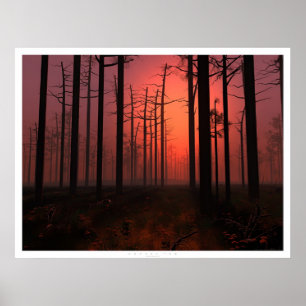 Sonnenuntergang-Nebel Poster