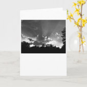 Sonnenuntergang/Noir, Karte (Gelbe Blume)