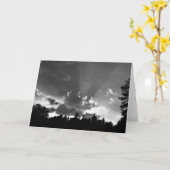 Sonnenuntergang/Noir, Karte (Gelbe Blume)