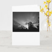 Sonnenuntergang/Noir, Karte (Gelbe Blume)