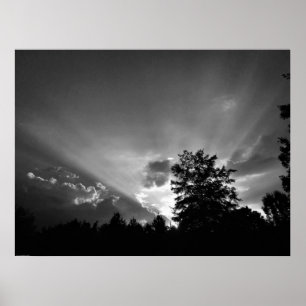 Sonnenuntergang/Noir, Poster