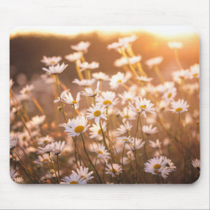 Sonnenuntergang-Ochsenauge-Gänseblümchen Mousepad