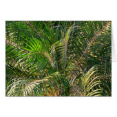 Sonnenuntergang Palm Fronds Tropical (Vorderseite (Horizontal))