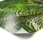 Sonnenuntergang Palm Fronds Tropical Fotodruck (Ecke)