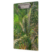 Sonnenuntergang Palm Fronds Tropical Klemmbrett (Links)