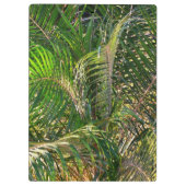 Sonnenuntergang Palm Fronds Tropical Klemmbrett (Rückseite)