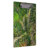 Sonnenuntergang Palm Fronds Tropical Klemmbrett (Rechts)