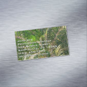 Sonnenuntergang Palm Fronds Tropical Magnetische Visitenkarte (Beispiel)