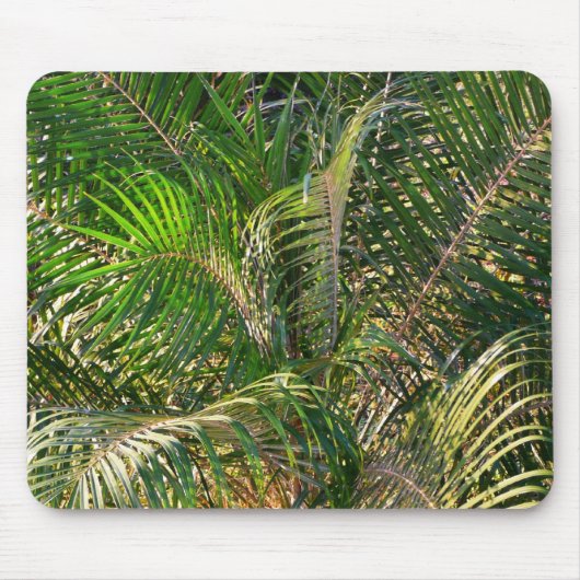 Sonnenuntergang Palm Fronds Tropical Mousepad (Vorne)