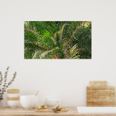 Sonnenuntergang Palm Fronds Tropical Poster (Küche)