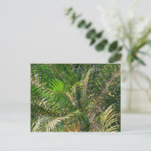 Sonnenuntergang Palm Fronds Tropical Postkarte (Stehend Vorderseite)