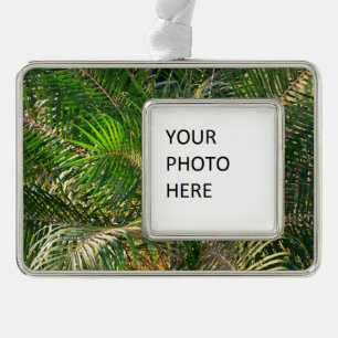 Sonnenuntergang Palm Fronds Tropical Rahmen-Ornament Silber