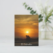 Sonnenuntergang Playa el Tunco Postkarte (Stehend Vorderseite)