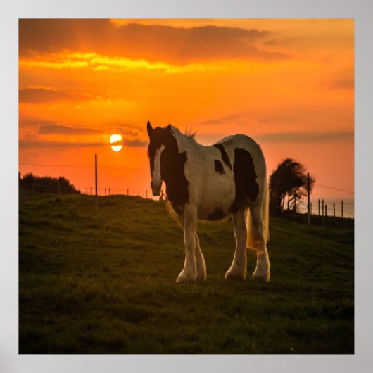 Sonnenuntergang Poster (Vorne)