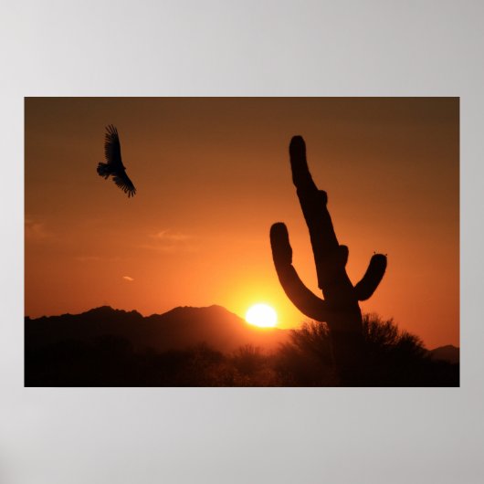 Sonnenuntergang Poster (Vorne)