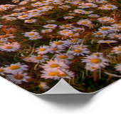 Sonnenuntergang Poster (Ecke)