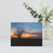 Sonnenuntergang Postkarte (Stehend Vorderseite)