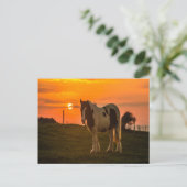 Sonnenuntergang Postkarte (Stehend Vorderseite)