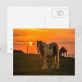 Sonnenuntergang Postkarte (Vorne/Hinten)