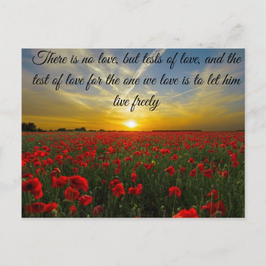 Sonnenuntergang Postkarte (Vorderseite)