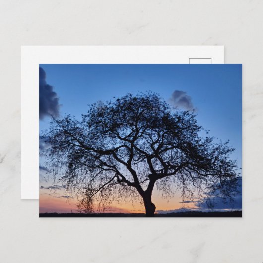 Sonnenuntergang Postkarte (Vorne/Hinten)