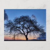 Sonnenuntergang Postkarte (Vorderseite)