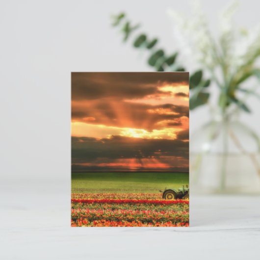 Sonnenuntergang Postkarte (Stehend Vorderseite)