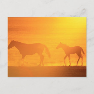 Sonnenuntergang Postkarte